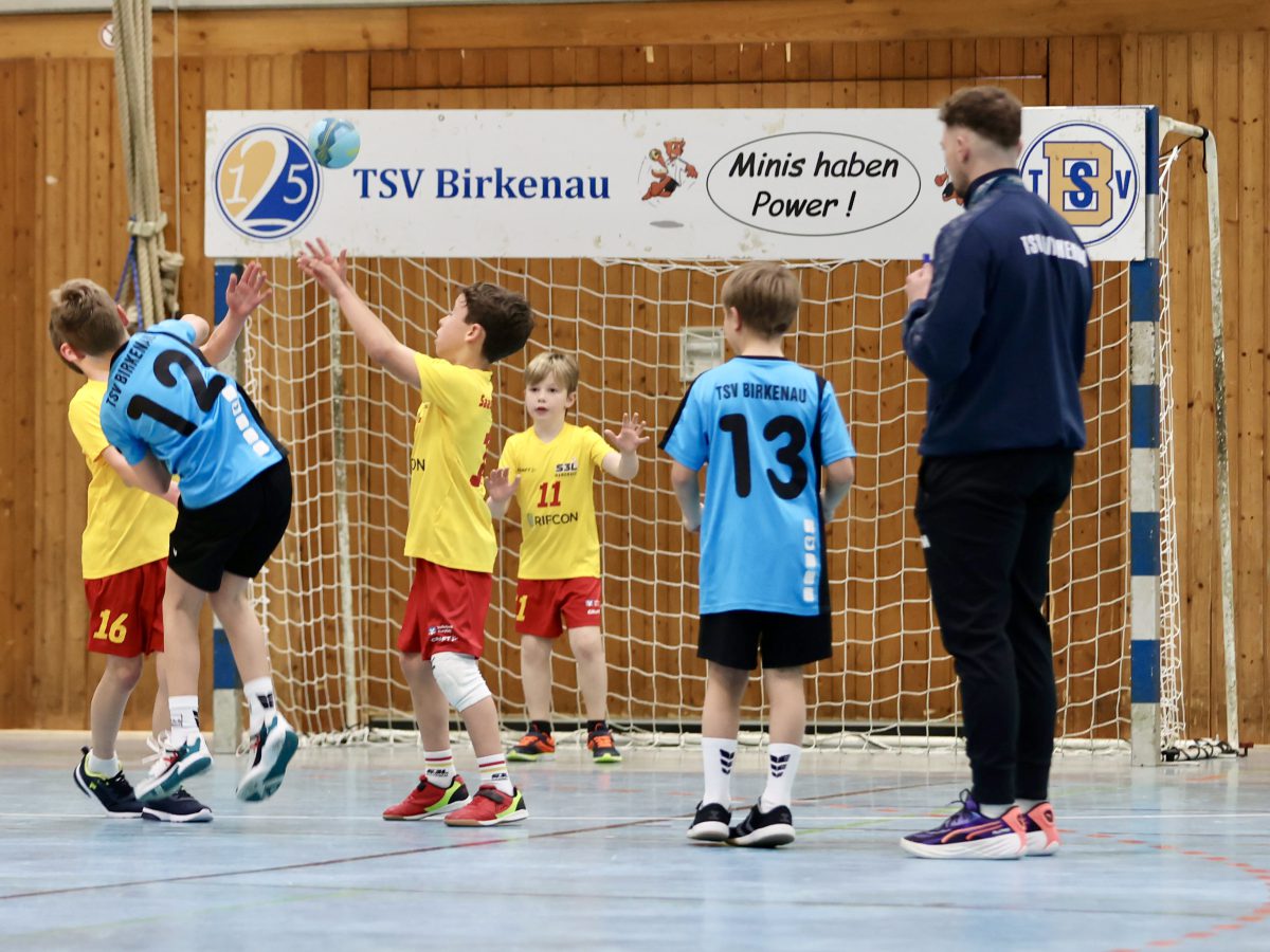 Kleine Falken, Große Falken