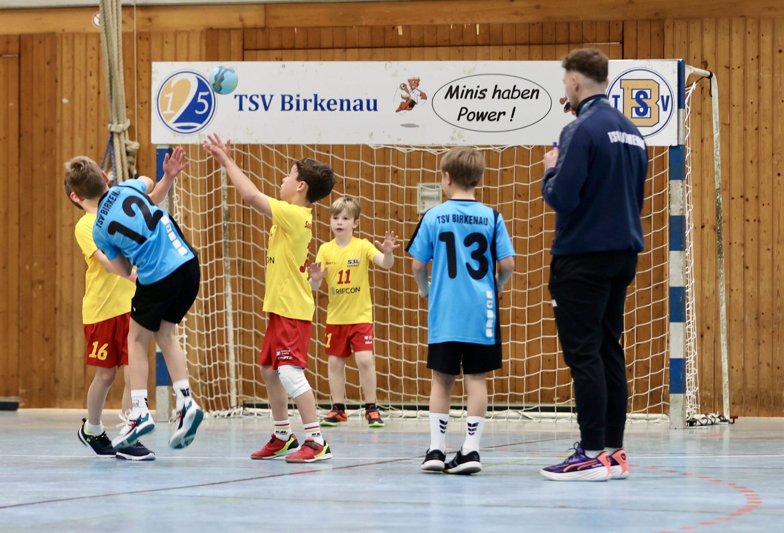 Kleine Falken, Große Falken