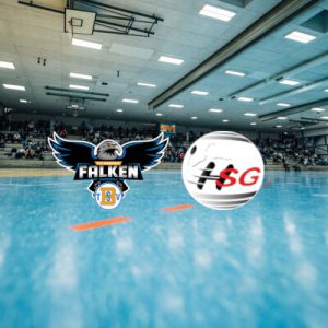 Heimspiel HSG Weschnitzal 11.04.26 20 Uhr (Normalzahler)